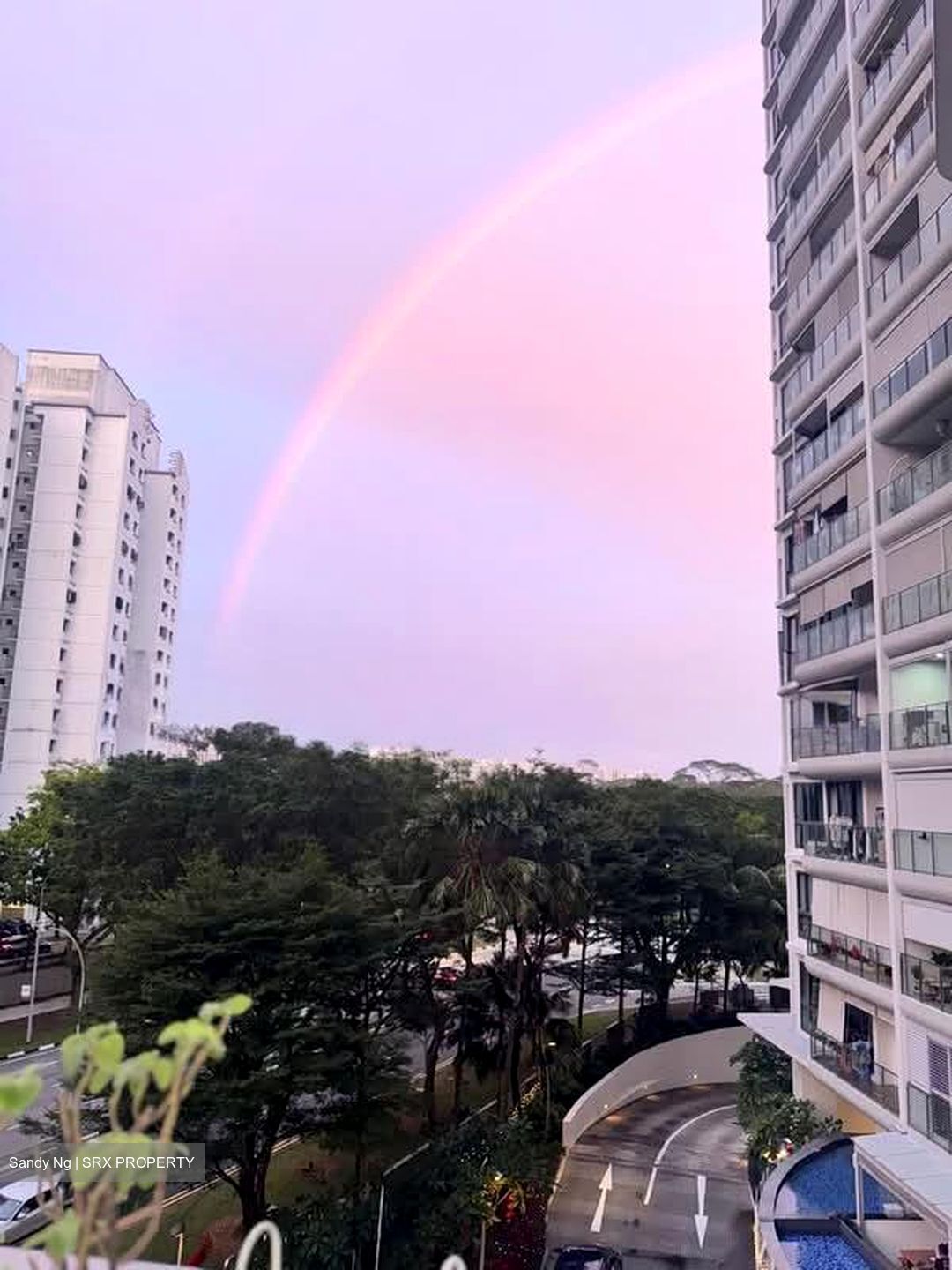 Riversound Residence (D19), Condominium #533596781